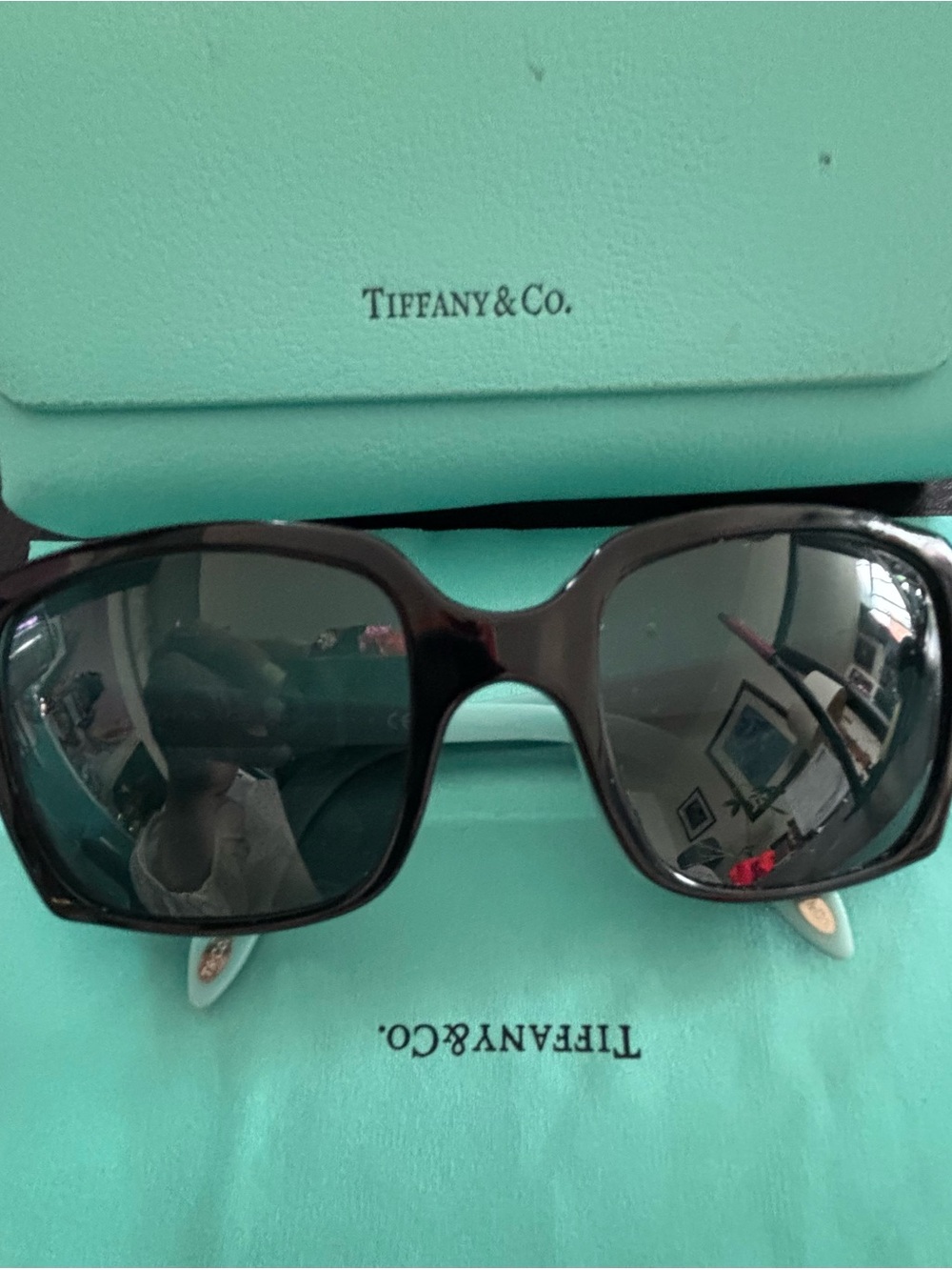 Tiffany & Co. Women's Dark Brown Square Sunglasses with Tiffany Blue Case